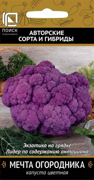 kapusta_cvet_mechta_ogorodnika