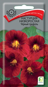 Настурция Черный трюфель (1гр)