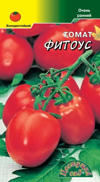 Томат ФИТОфтороУСтойчивый
