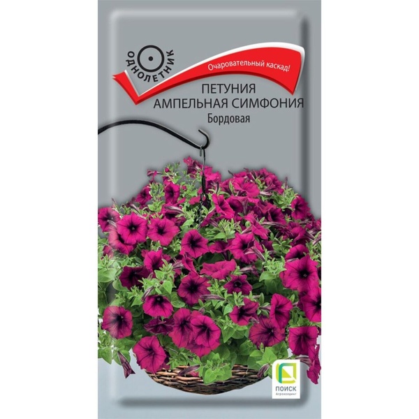 Петуния Симфония бордовая ампельная (0,01гр)  (однолет.) (цвет.пакет)  -  П