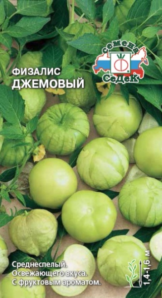 fizalis_dzhemovyy