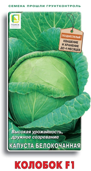 kapusta_belokoch_kolobok
