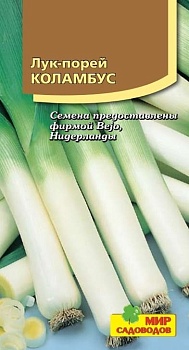 Лук порей Коламбус (75шт)