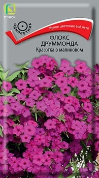 Флокс друммонда Красотка в Малиновом (0,1гр)