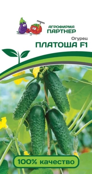 платоша