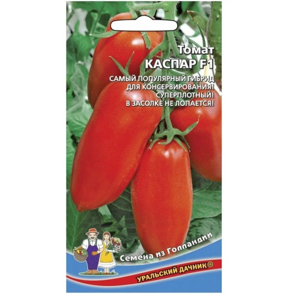 каспар