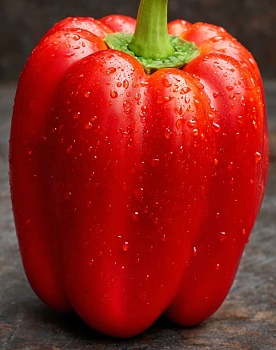 Перец сладкий Помпео F1 (5шт)