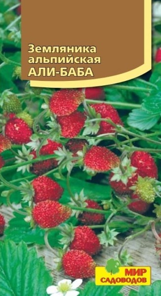 2025-10-12_10-36-25