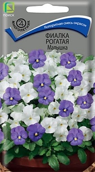 Фиалка рогатая Малышка (0,1гр)