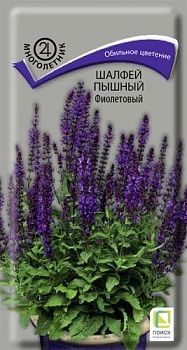Шалфей (дубравный) пышный Фиолетовый 0,1гр