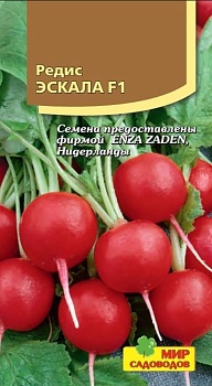 Редис Эскала F1 (100шт)