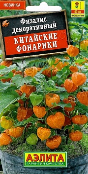 Физалис  Китайские фонарики (2026; 29.06.02)