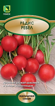 Редис Ребел 2гр. — редис, который не подведёт.