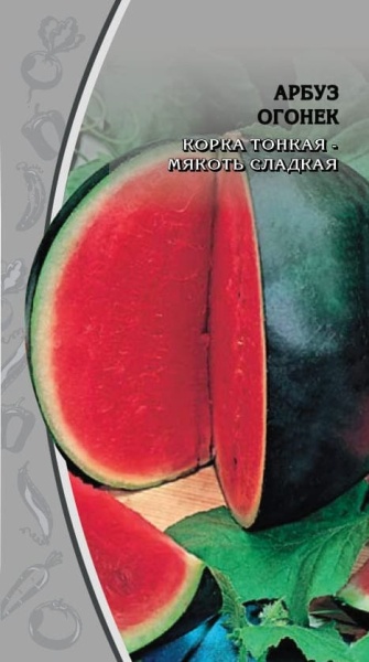 Арбуз Огонек (1) (1)