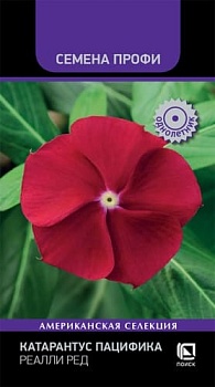 Катарантус Пацифика Реалли Ред 10 шт.