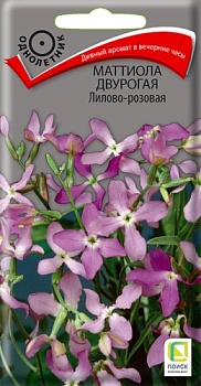 Маттиола двурогая Лилово-Розовая (0,3гр)