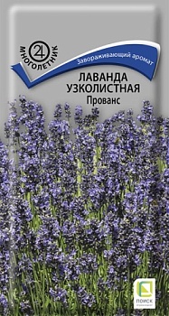 Лаванда узколистная Прованс (10шт)