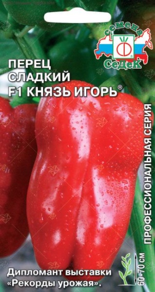 perets_knyaz_igor_f1