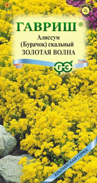 burachok_mini4