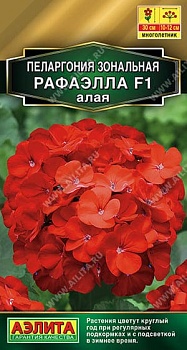 Пеларгония Рафаэлла F1 Алая 5шт