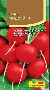 Редис Мидуэй F1 (100шт)