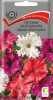 petunia_ampel_f1_shock_wave_kosmo