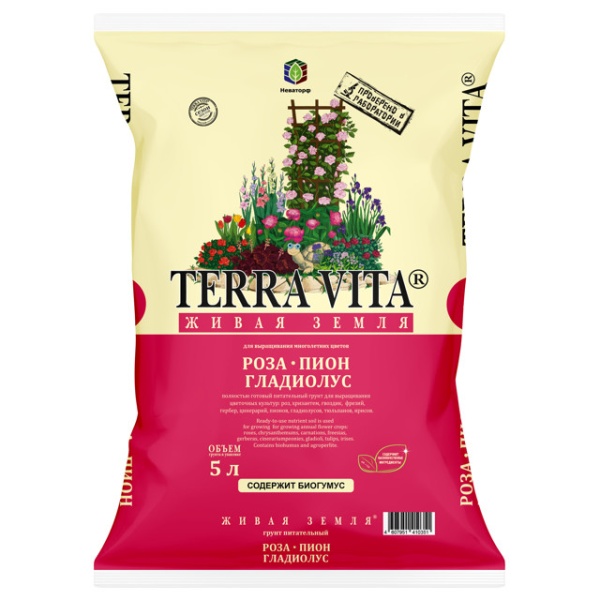 56efabac604f697206aeee1d22b4d9b0