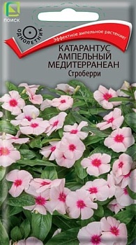 Катарантус ампельный Медитерранеан Строберри 10 шт