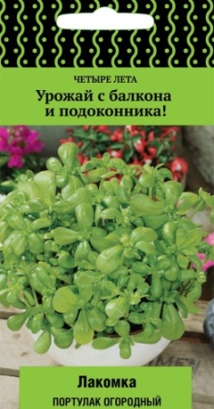 portulak_ogorod_lakomka