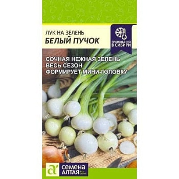 Лук на зелень Белый Пучок 0,3 гр.