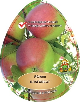 Яблоня Благовест (в агрономической сетке)