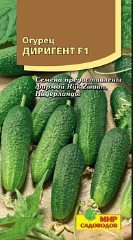 Огурец Диригент F1 (5шт)