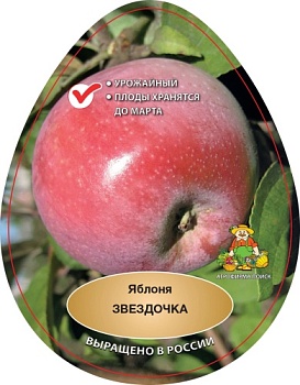 Яблоня Звездочка (в агрономической сетке)