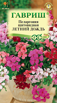 Пеларгония ампельная Летний Дождь, смесь (3шт) 