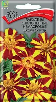 Бархатцы отклоненные Джолли Джестер (0,2гр) 