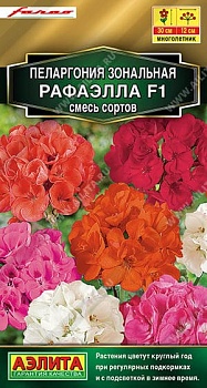 Пеларгония Рафаэлла F1 Смесь 5шт