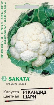 Капуста цветная Кандид Шарм F1 10 шт