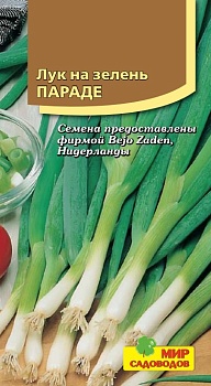 Лук Параде на зелень (100шт.) 
