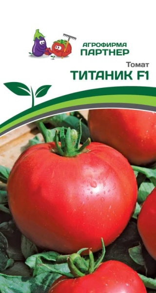ТИТАНИК (1)