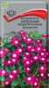 katarantus_ampelnyy_mediterranean_burgundi_khalo (1)