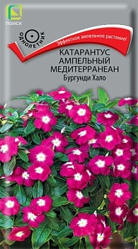 Катарантус ампельный Медитерранеан Бургунди Хало  10 шт