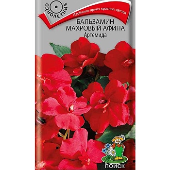 Бальзамин Афина Артемида махровый (5шт)