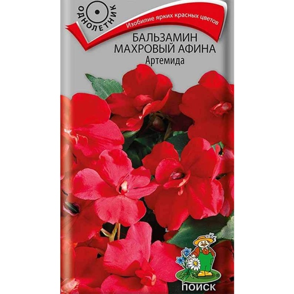 balzamin-makhrovyj-afina-artemida