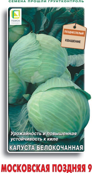 kapusta_belokoch_msc_pozdn_9