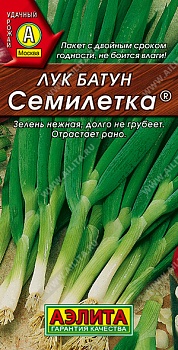 Лук батун Семилетка  (цвет.пакет)  -  АЭ