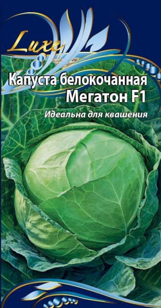 мег (1) (1)