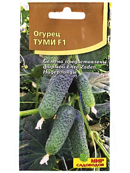 Огурец Туми F1 (5шт)