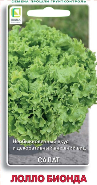 salat_lollo_bionda