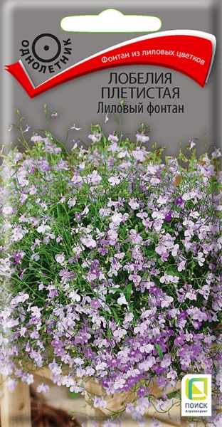 lobelia_pletistaya_lilovy_fontan