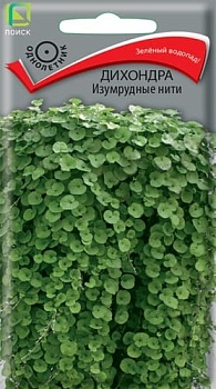 Дихондра Изумрудные Нити (5шт.)